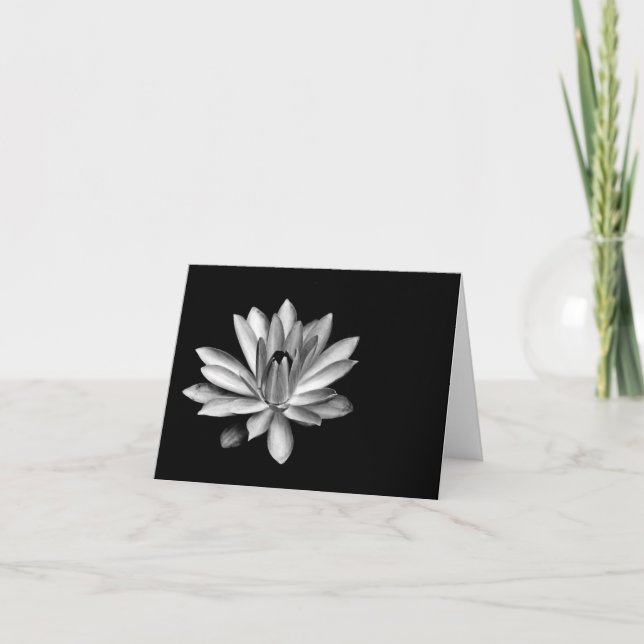 Water Lily Note Card (Front)
