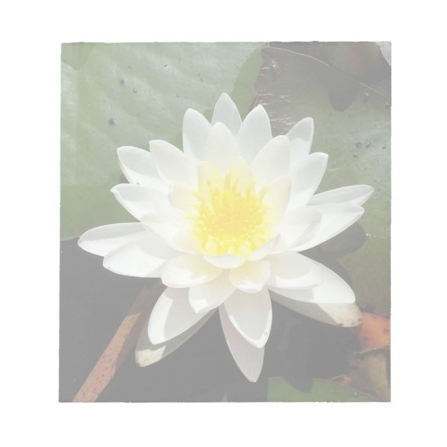 Water Lily Notepad (Front)