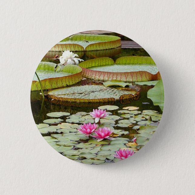 Water Lily Pads Ponds 2 Inch Round Button (Front)