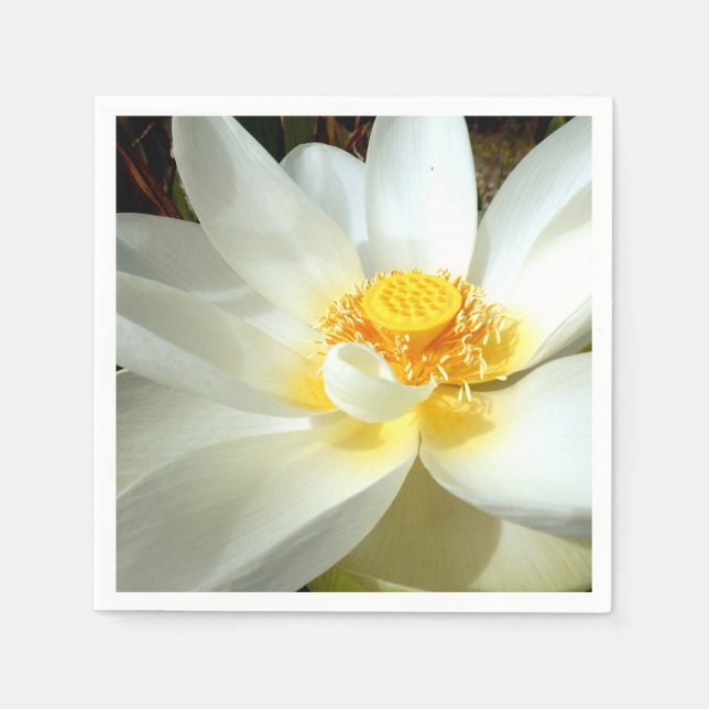 Water Lily Paper Napkins (Front)