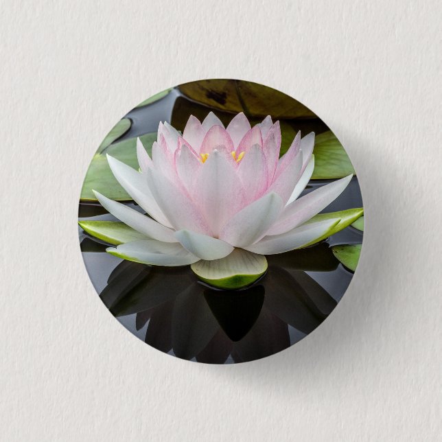 Water Lily Pink Floral Photo 1 Inch Round Button (Front)