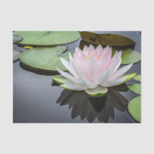 Water Lily Pink Floral Photo Tissue Paper