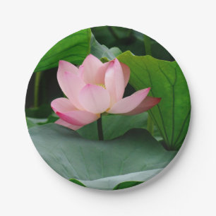 Water Lily Pink Paper Plate