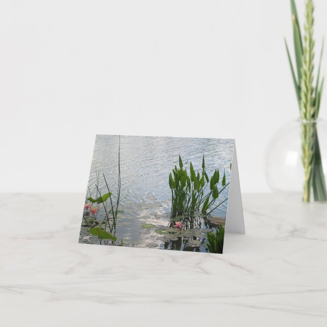 Water Lily Pond Card (Front)
