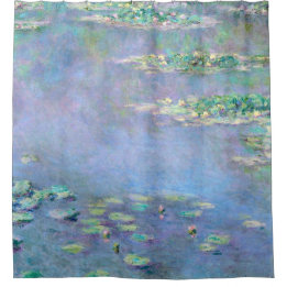 Water Lily Pond Reflections