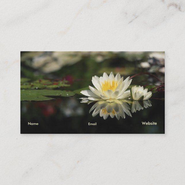 Water Lily Profile Card (Front)