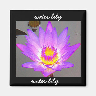 Water Lily Purple - Border Magnet