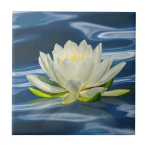 Water Lily Reflected on Blue Water Tile