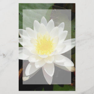 Water Lily Stationery