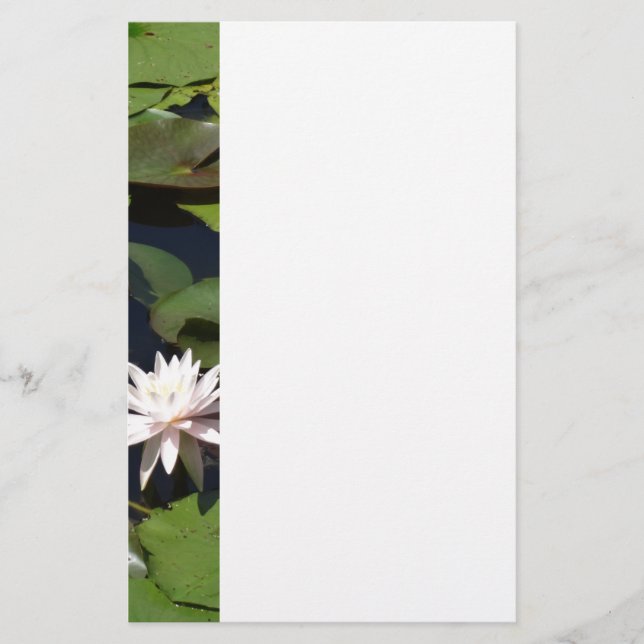 Water Lily Stationery (Front)