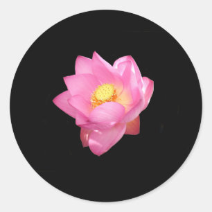Water Lily Stickers