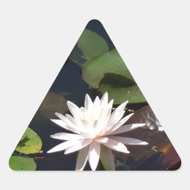 Water Lily Triangle Sticker (Front)