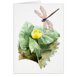 water-lily watercolor