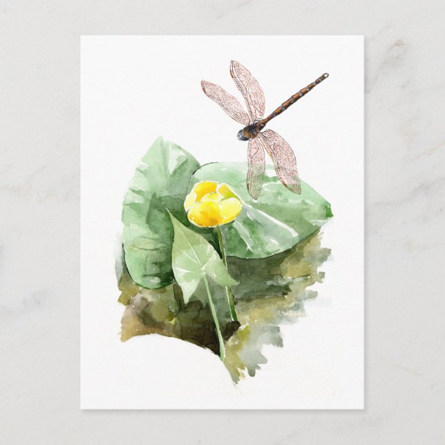 water-lily watercolor postcard (Front)