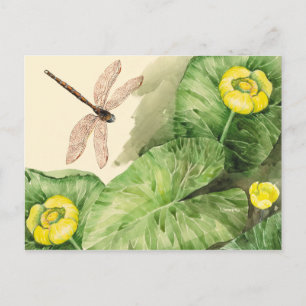 water-lily watercolor postcard