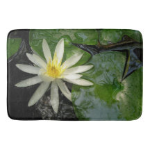 Water Lily White and Green Photograph