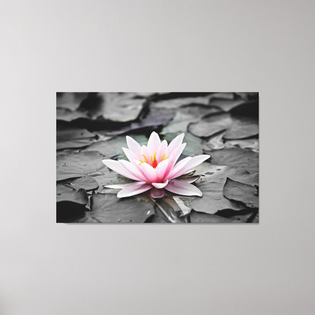 water lily wrapped canvas (Front)