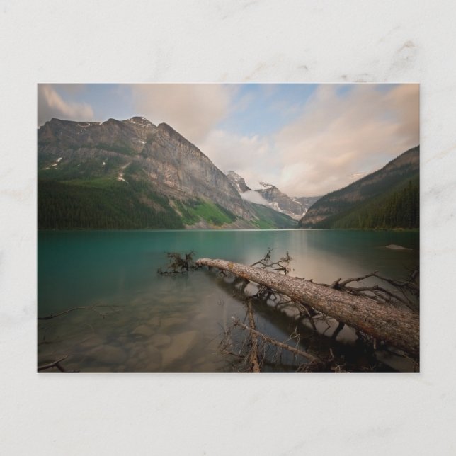 Water Logged Postcard (Front)