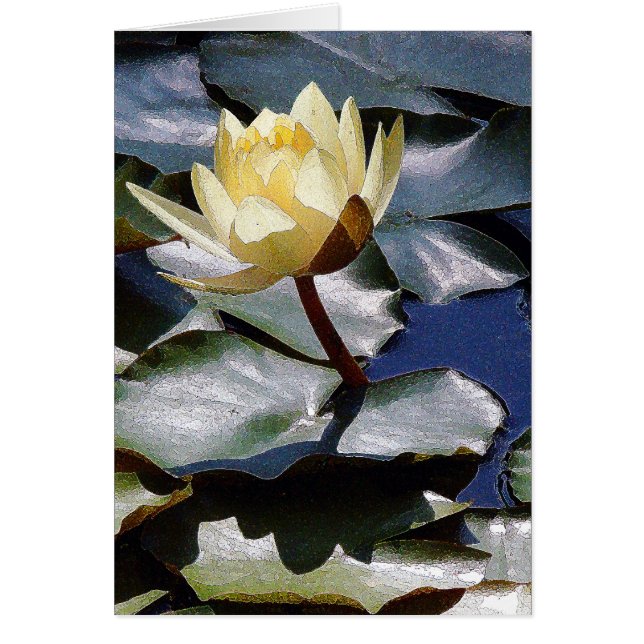 Water Lotus Flower Card (Front)
