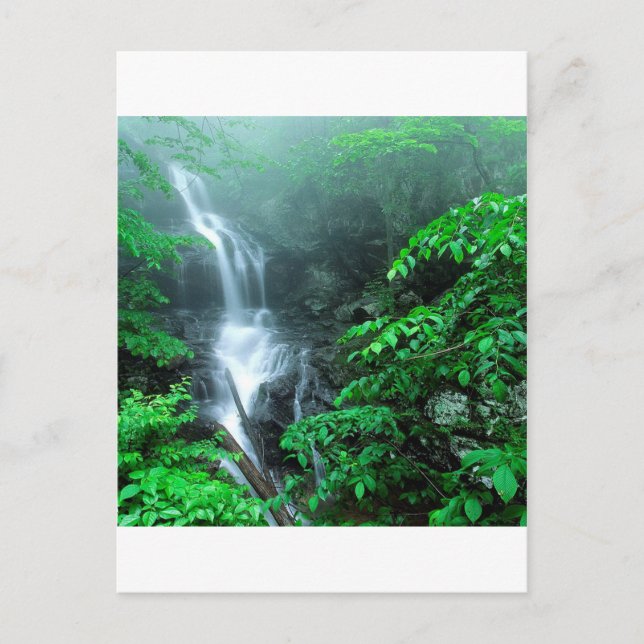 Water Lower Doyles River Falls Shenandoah Postcard (Front)