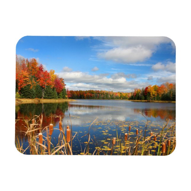 Water | Mabel Lake Canada Magnet (Horizontal)