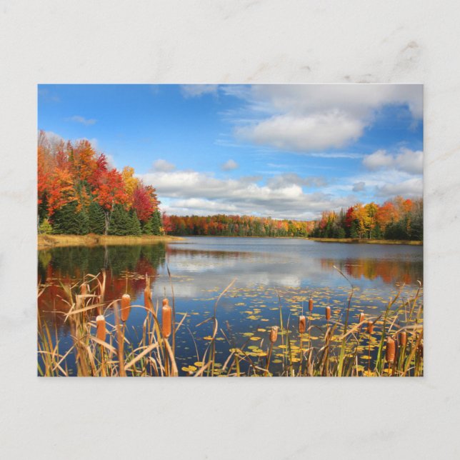 Water | Mabel Lake Canada Postcard (Front)