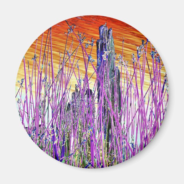 WATER MAGNET (Front)