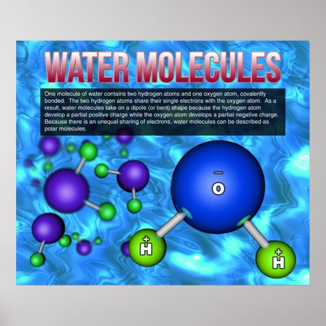Water Molecules Poster (Front)