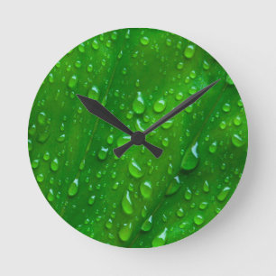 Water on a Leaf Round Clock