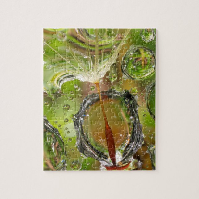 Water on dandelion seed, CA Jigsaw Puzzle (Vertical)