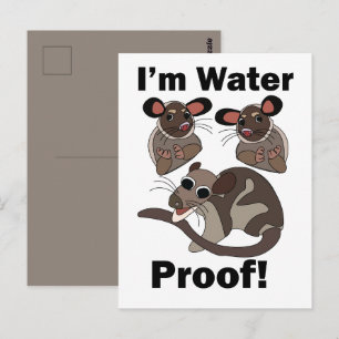 Water Opossum I'm Water Proof Funny  Postcard