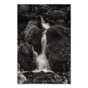 Water Over Moss Photo Print
