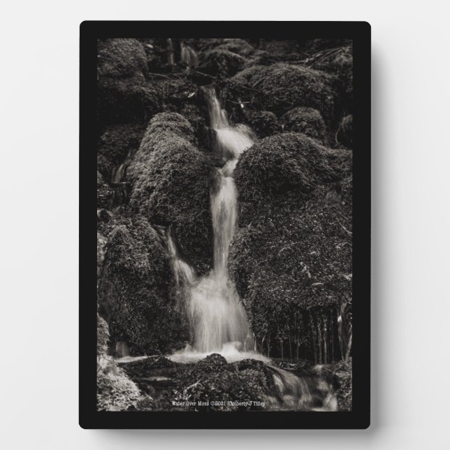 Water Over Moss Plaque (Front)