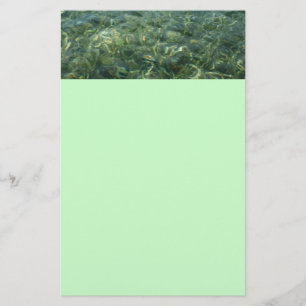 Water over Sea Grass I Caribbean Nature Stationery