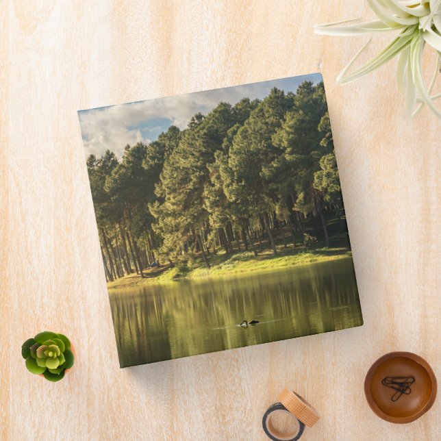 Water | Pang Oung Lake & Pine Forest Thailand Binder (In Situ)