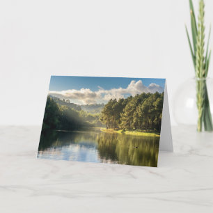 Water   Pang Oung Lake & Pine Forest Thailand Card