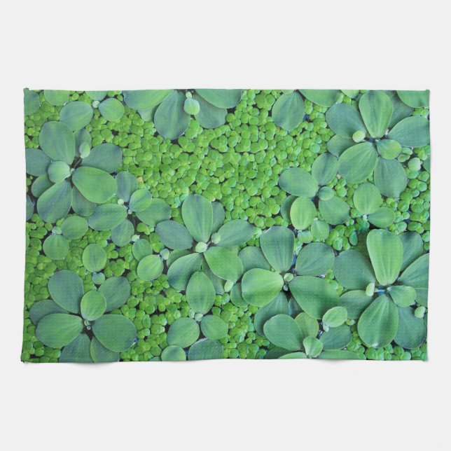 Water plant kitchen towel (Horizontal)