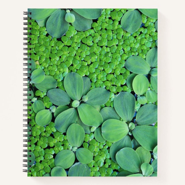 Water plant notebook (Front)