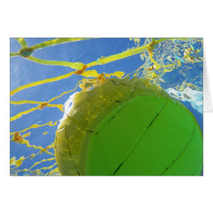 Water Polo