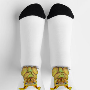 Water Rabbit Socks