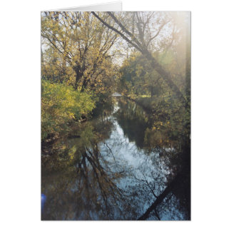 Water Reflecting Trees