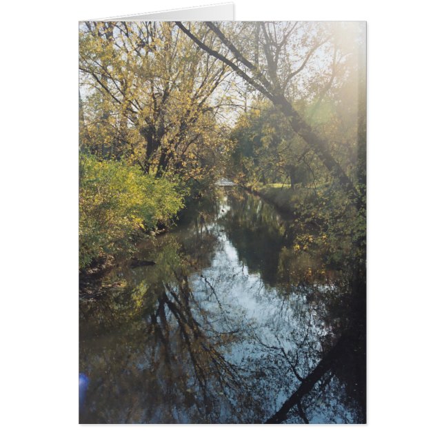 Water Reflecting Trees (Front)