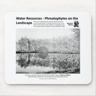 Water Resources I - Phreatophytes on the Landscape Mouse Pad