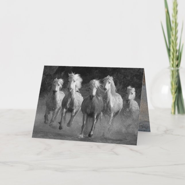Water Run Horse Greeting Card (Front)