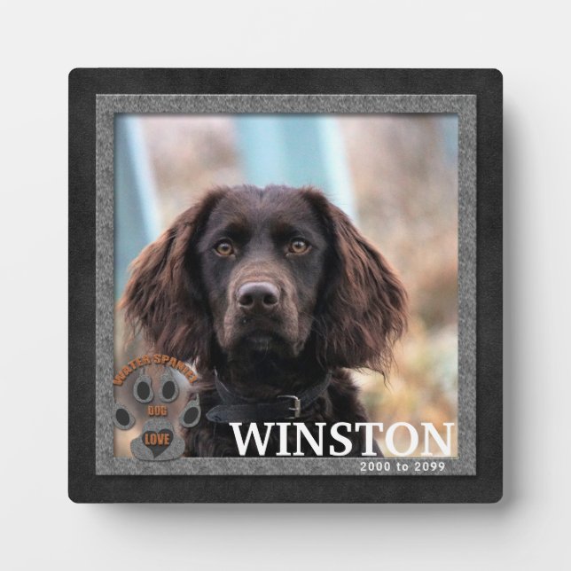 Water Spaniel Dog Breed Memorial Plaque (Front)