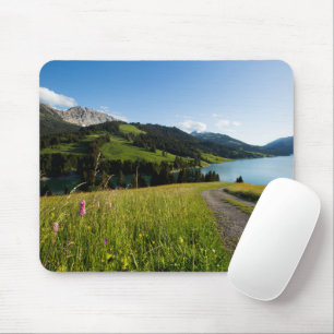 Water Swiss Alps Footpath Mouse Pad