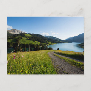 Water   Swiss Alps Footpath Postcard