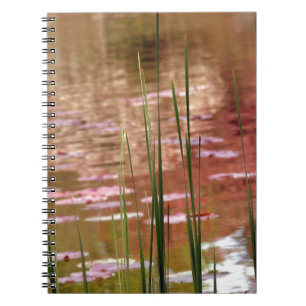 Water Through Reeds Notebook