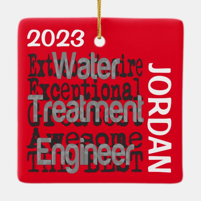 Water Treatment Engineer Extraordinaire CUSTOM Ceramic Ornament (Back)