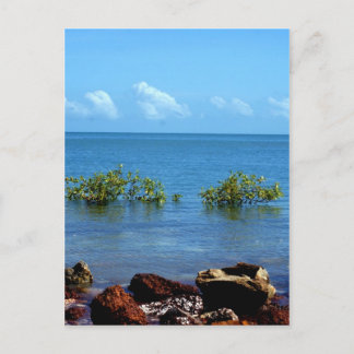 Water View Darwin Postcard